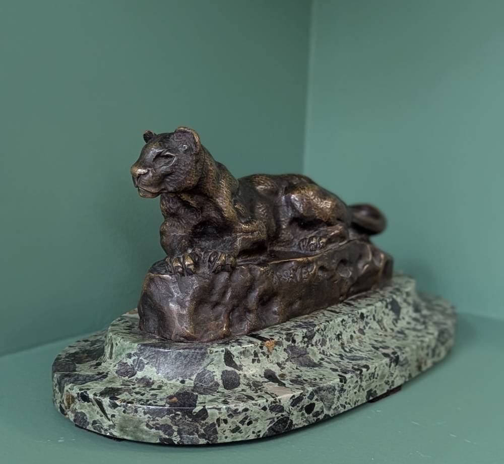 Panthère de Tunis 1 