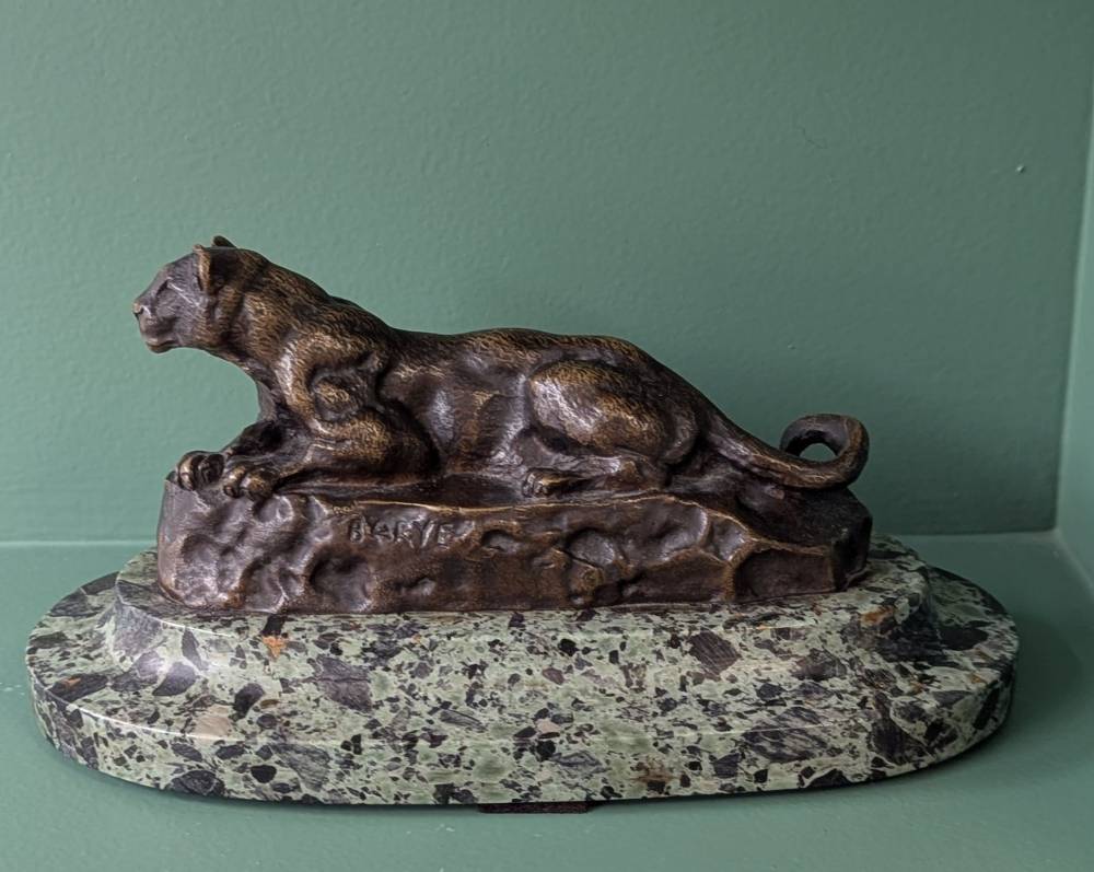 Panthère de Tunis 2