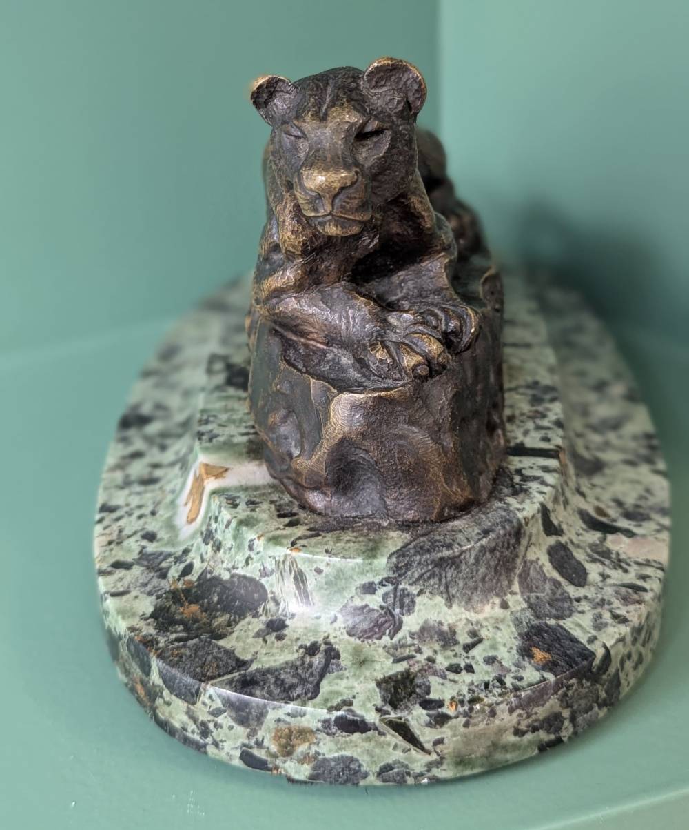 Panthère de Tunis 3