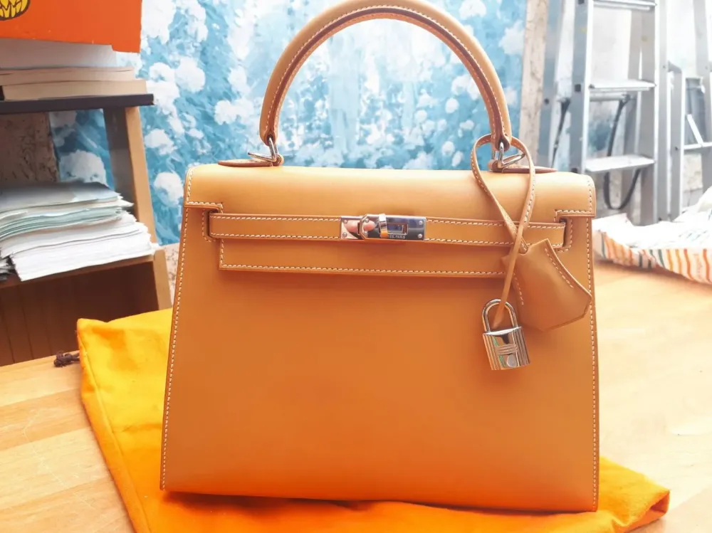 sacs de luxe (4)